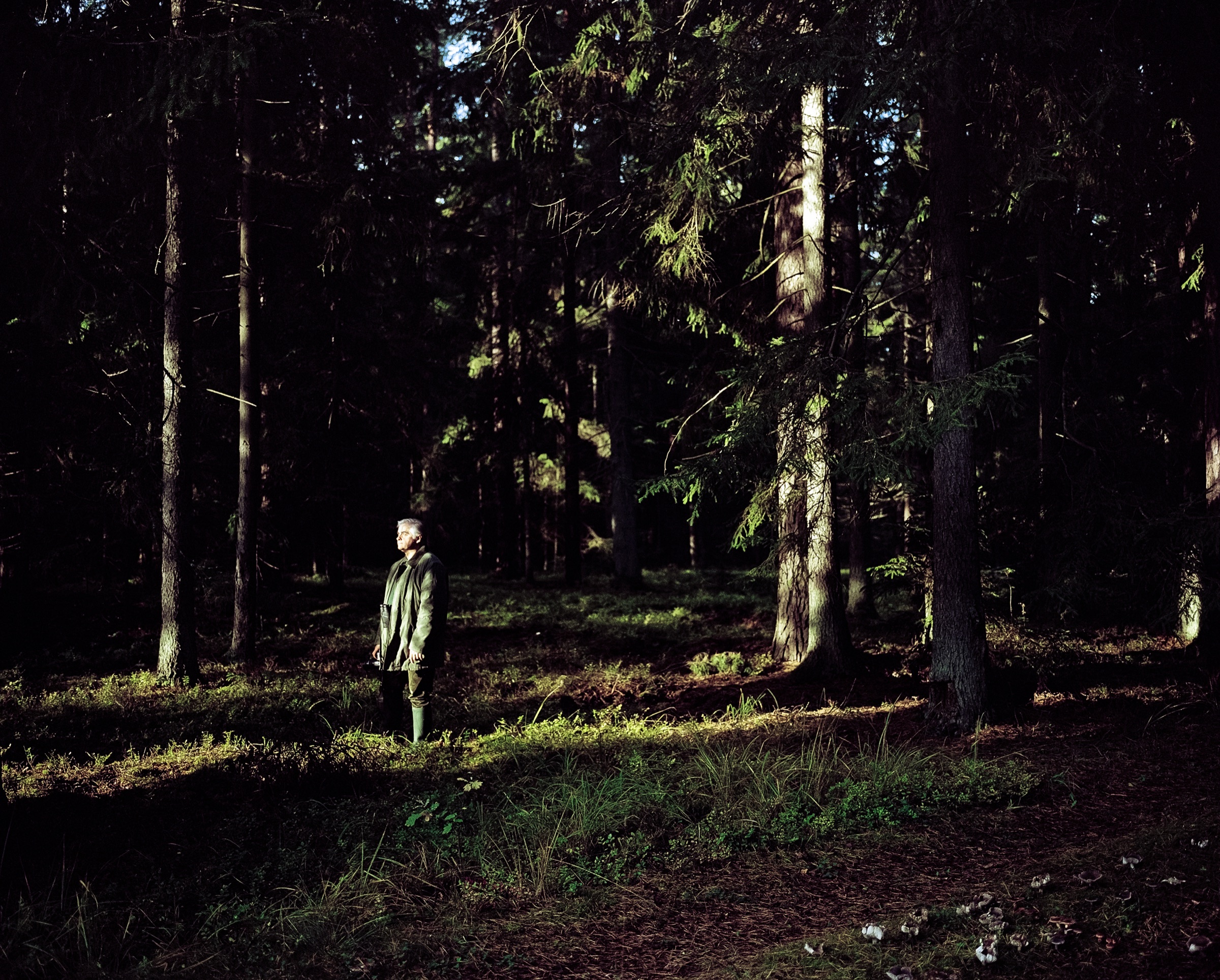 Quiet human ending from THE PEOPLE I MET by Radek Polak