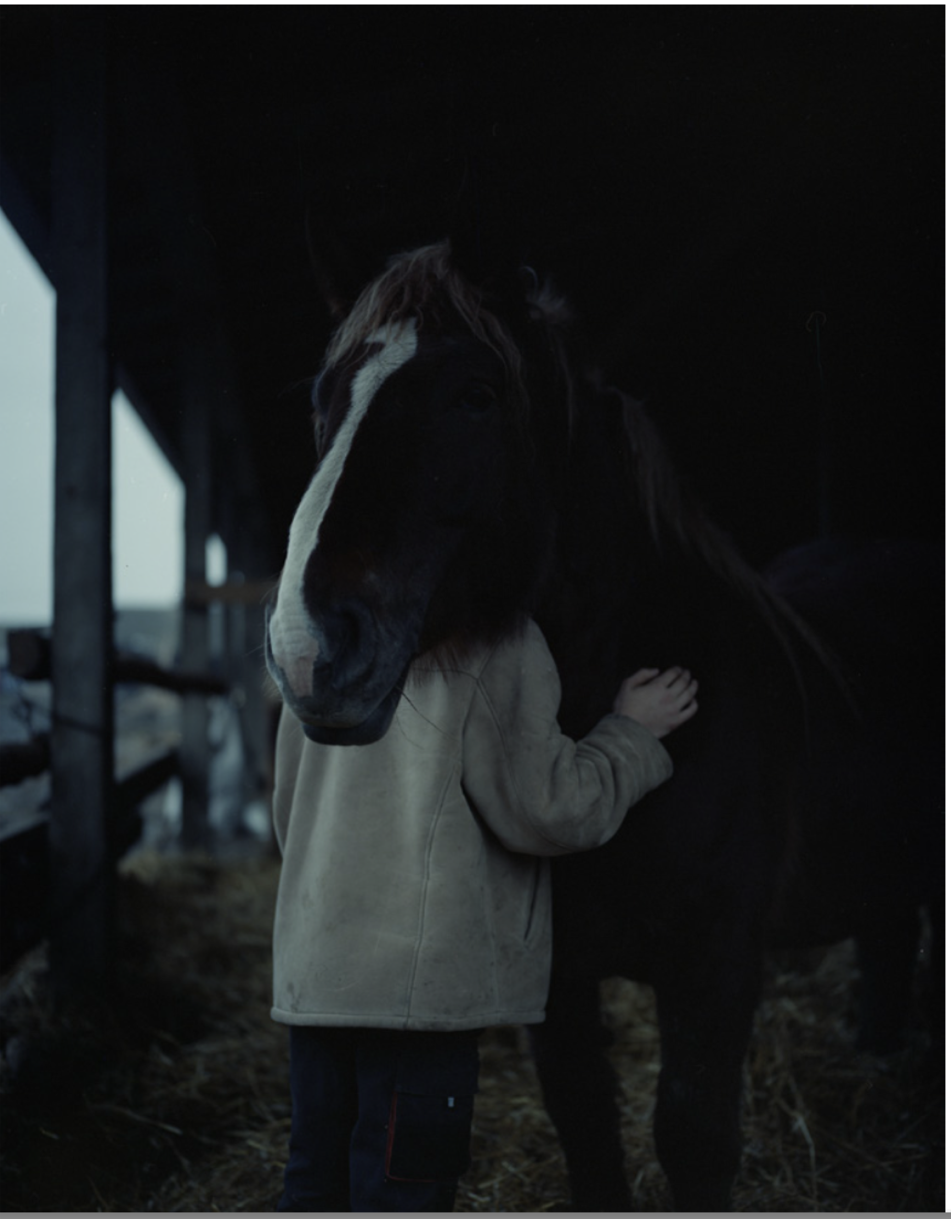Young person embracing a dark horse in a covered barn — Podlasie